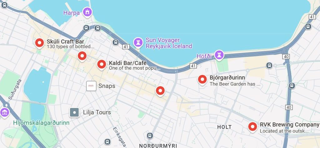 Pub Crawl in Reykjavík: Option 1